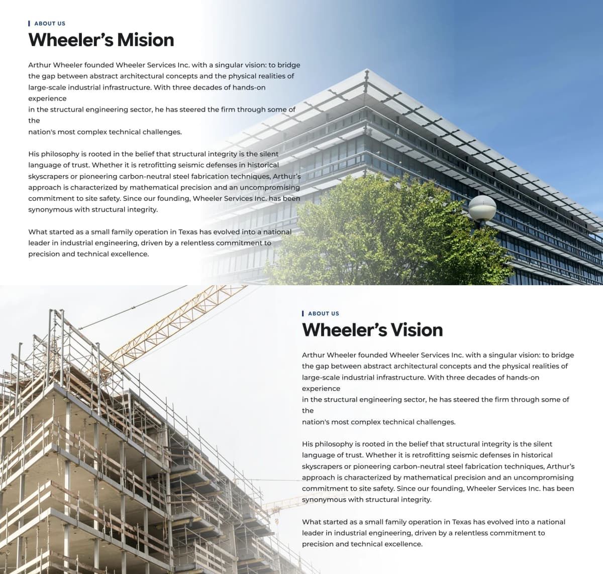 Vision Mision Standard